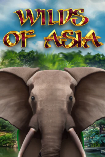 Играть в слот Wilds of Asia бесплатно онлайн | Azino Mobile